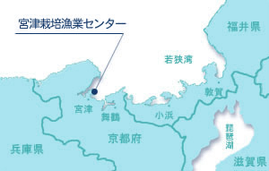 宮津地図